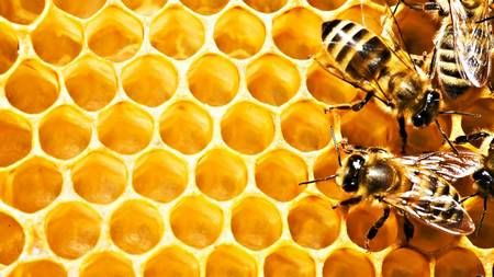 Воск пчелиный из натуральных сот вытоплен